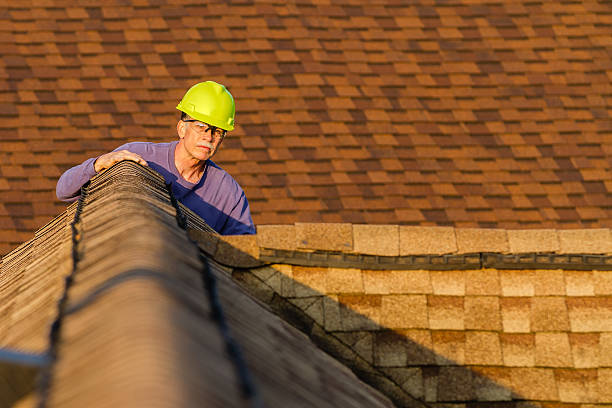 Best Roof Gutter Cleaning  in Advae, NC